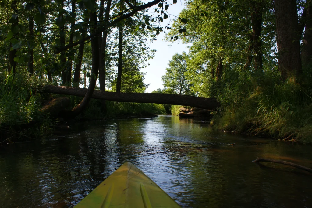 Kajaki Ster - Slider Spływ Kajakowy Bondyrz