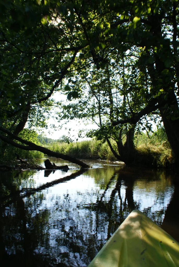 Kajaki Ster - Spływ kajakowy Bondyrz