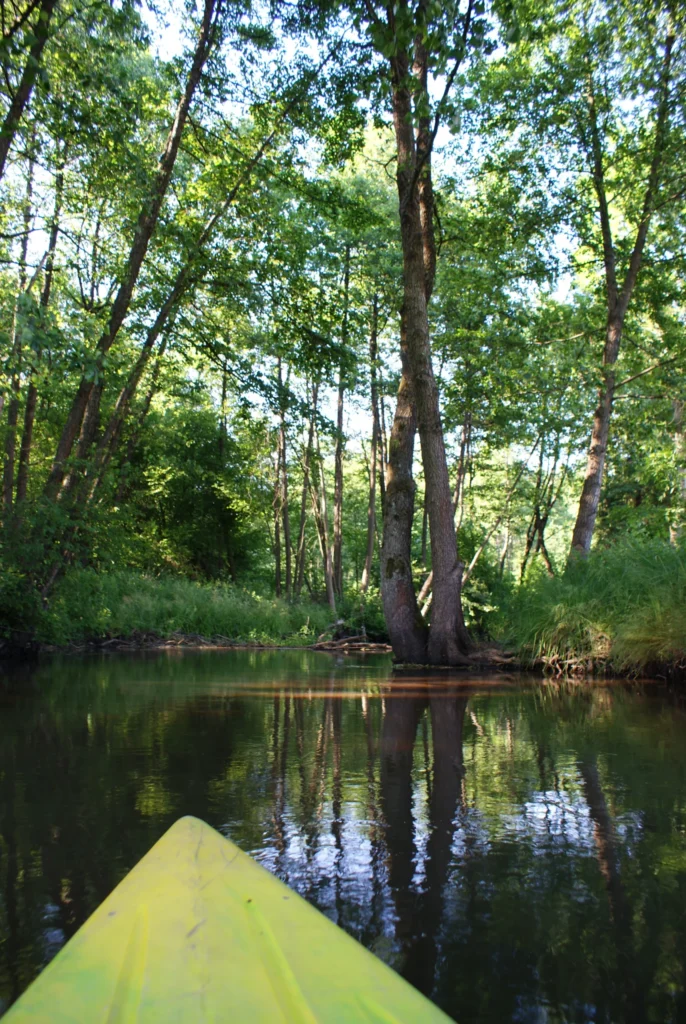 Kajaki Ster - Spływ kajakowy Bondyrz