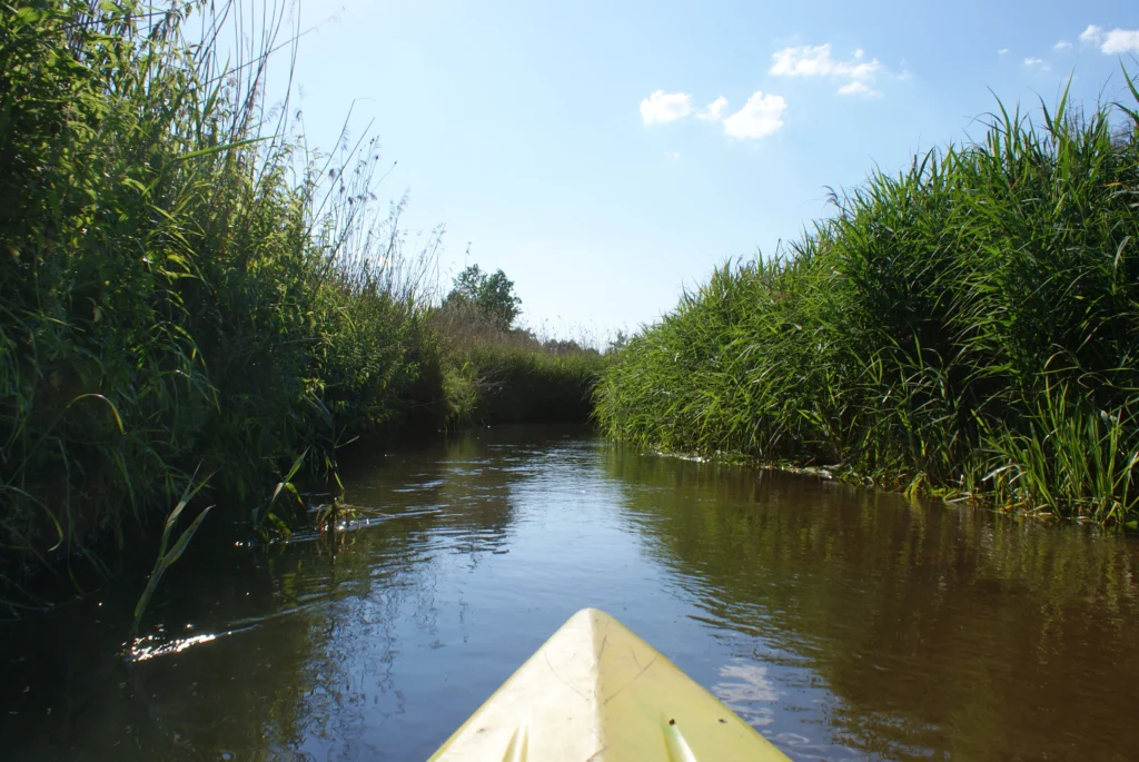 Kajaki Ster - Spływ kajakowy Bondyrz
