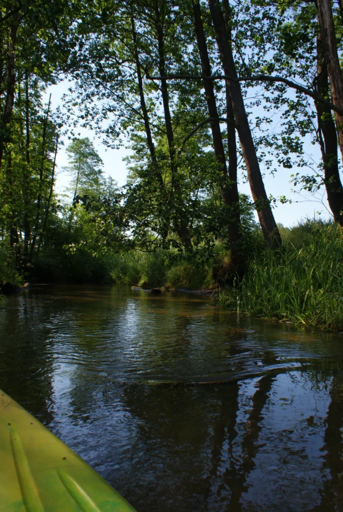 Kajaki Ster - Spływ kajakowy Bondyrz