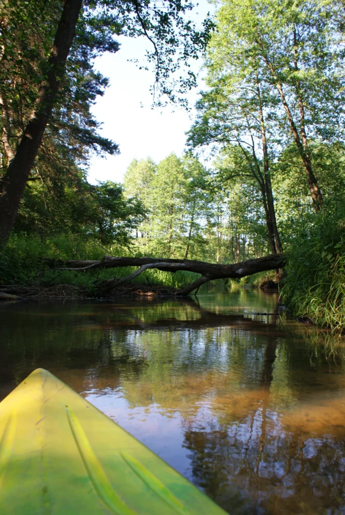 Kajaki Ster - Spływ kajakowy Bondyrz