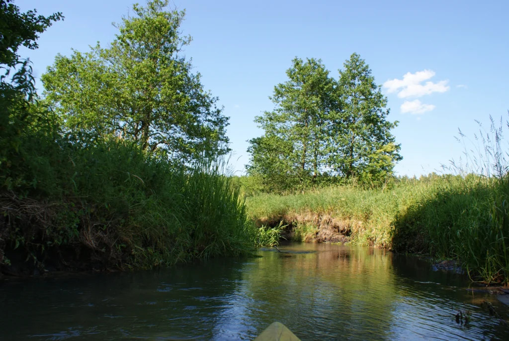 Kajaki Ster - Spływ kajakowy Bondyrz