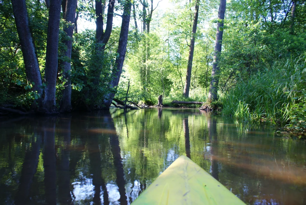 Kajaki Ster - Spływ kajakowy Bondyrz