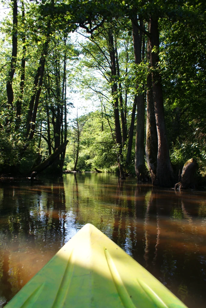 Kajaki Ster - Spływ kajakowy Bondyrz