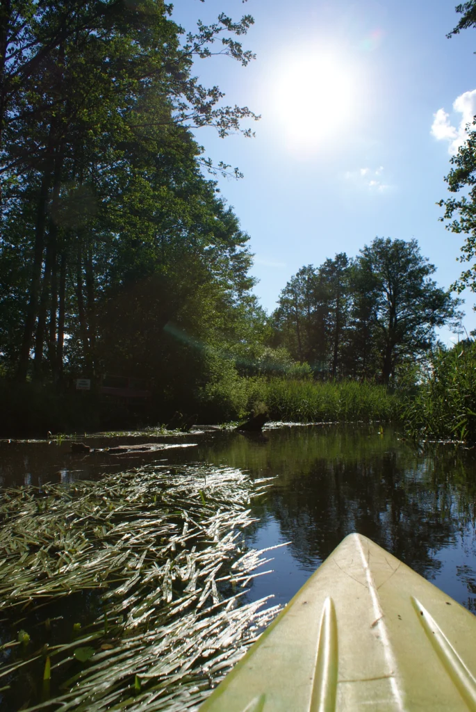 Kajaki Ster - Spływ kajakowy Bondyrz