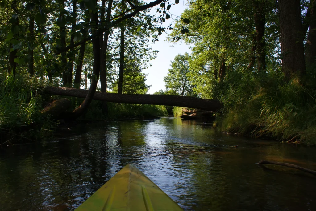 Kajaki Ster - Spływ kajakowy Bondyrz