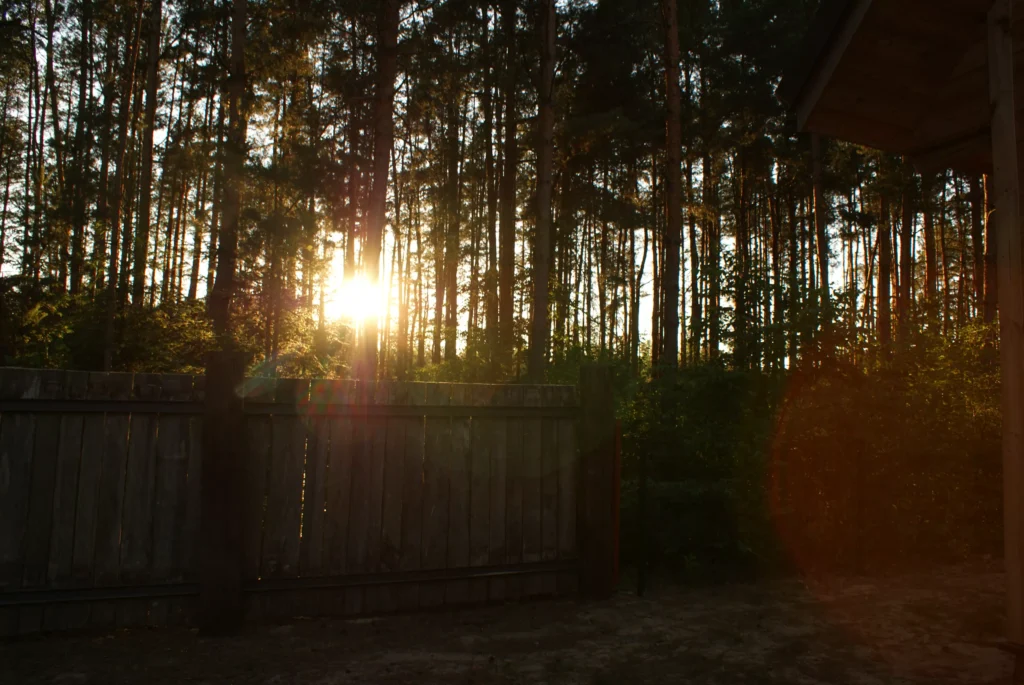 Kajaki Ster - Spływ kajakowy Bondyrz