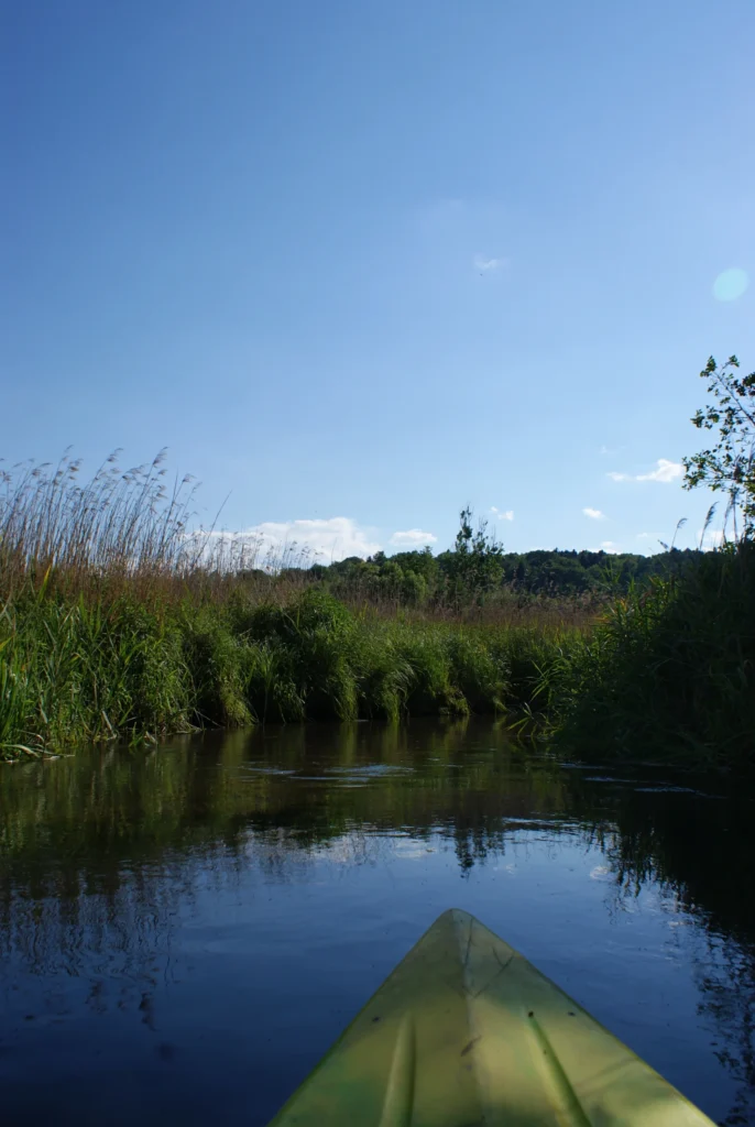 Kajaki Ster - Spływ kajakowy Bondyrz