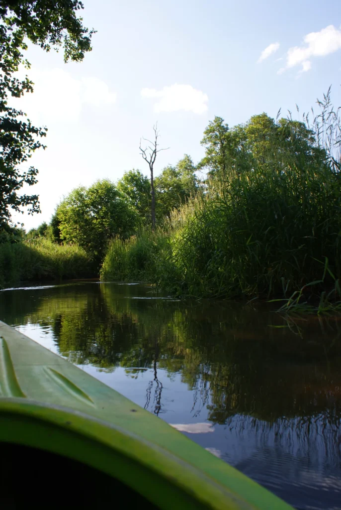 Kajaki Ster - Spływ kajakowy Bondyrz