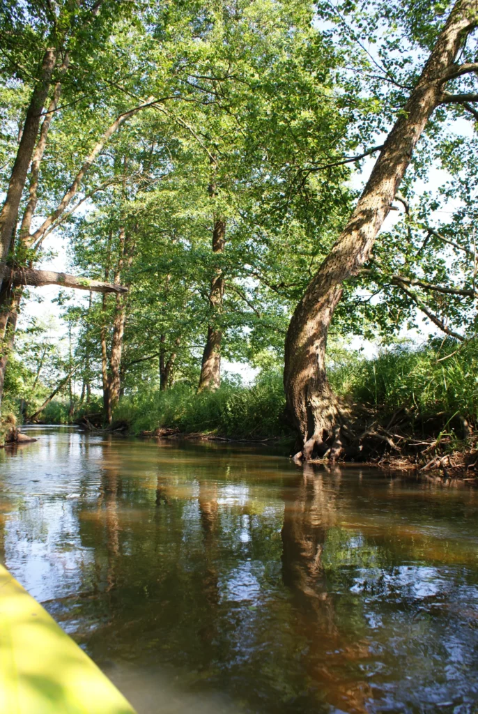 Kajaki Ster - Spływ kajakowy Bondyrz