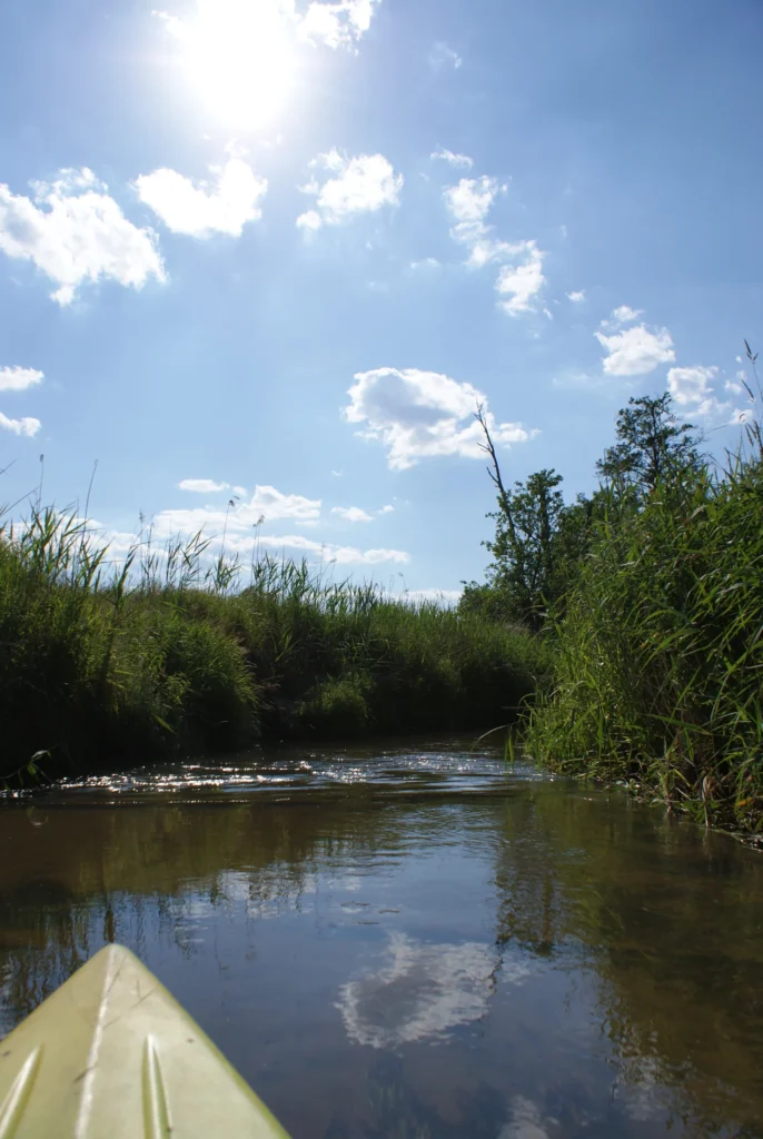 Kajaki Ster - Spływ kajakowy Bondyrz