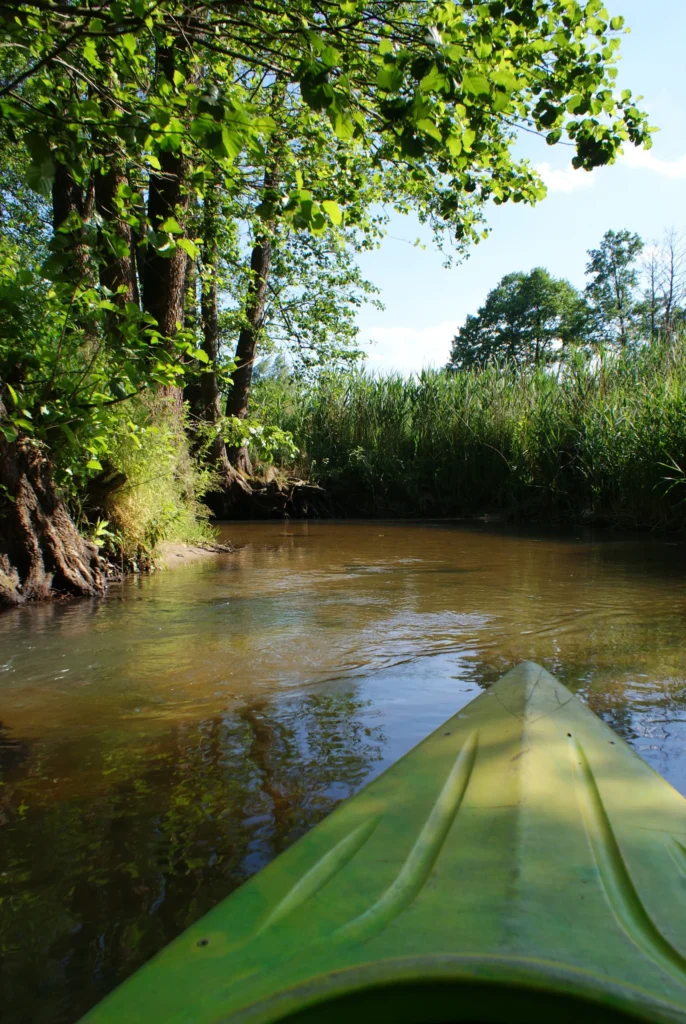 Kajaki Ster - Spływ kajakowy Bondyrz